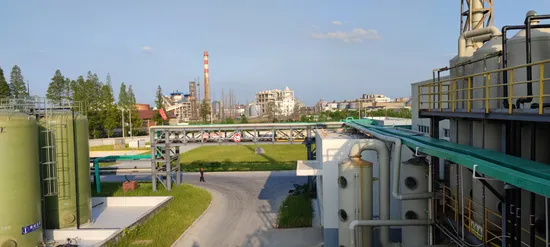 Wt Organic Intermediate Powder CAS No 68555